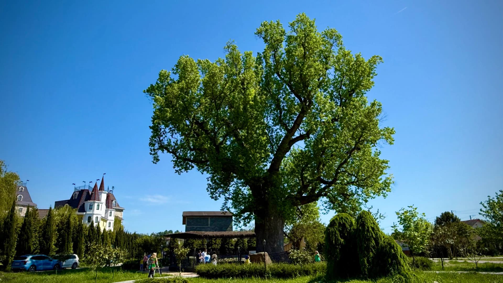 Дорога к храму — фото 6