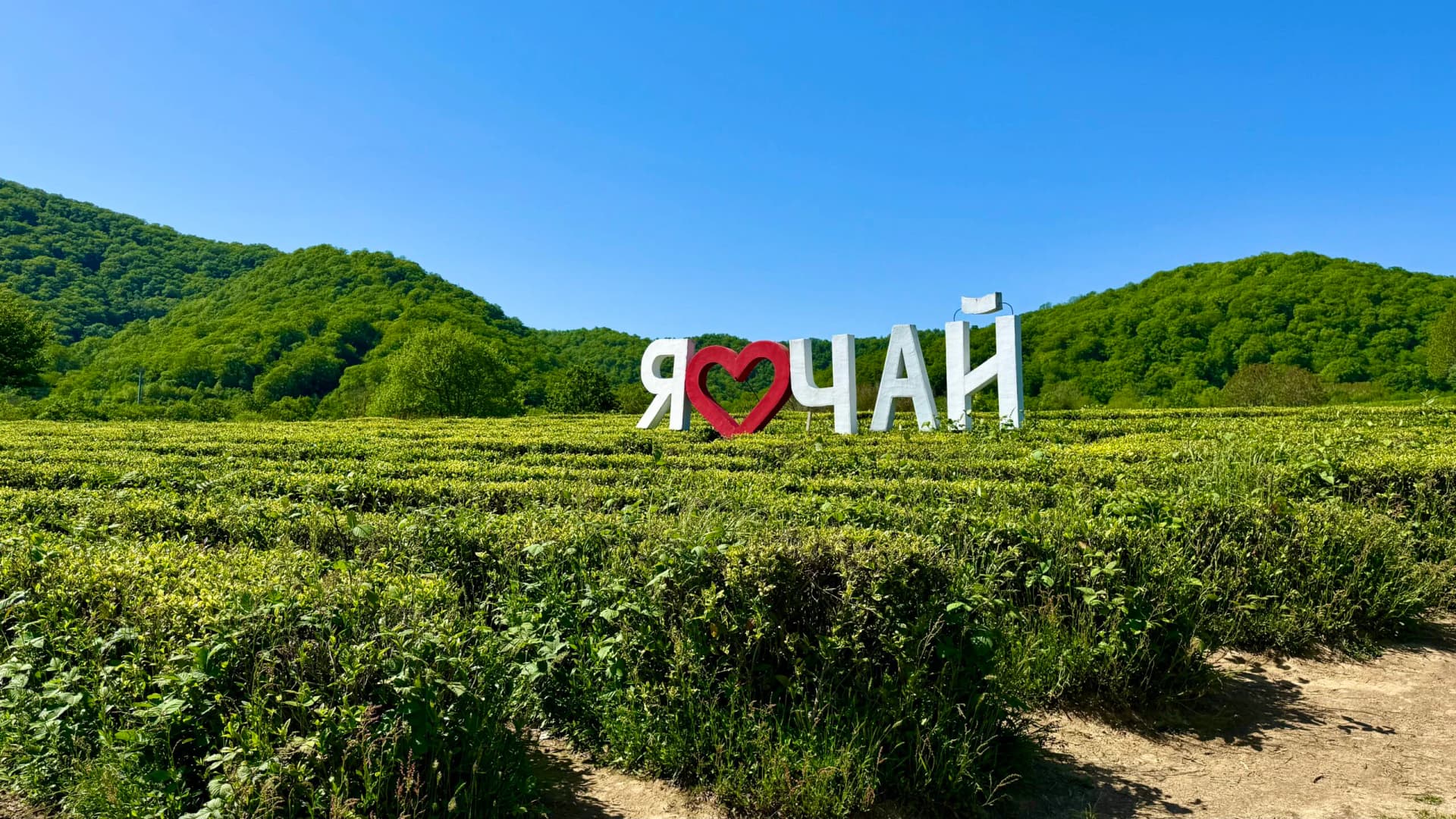 Кавказское застолье — фото 13