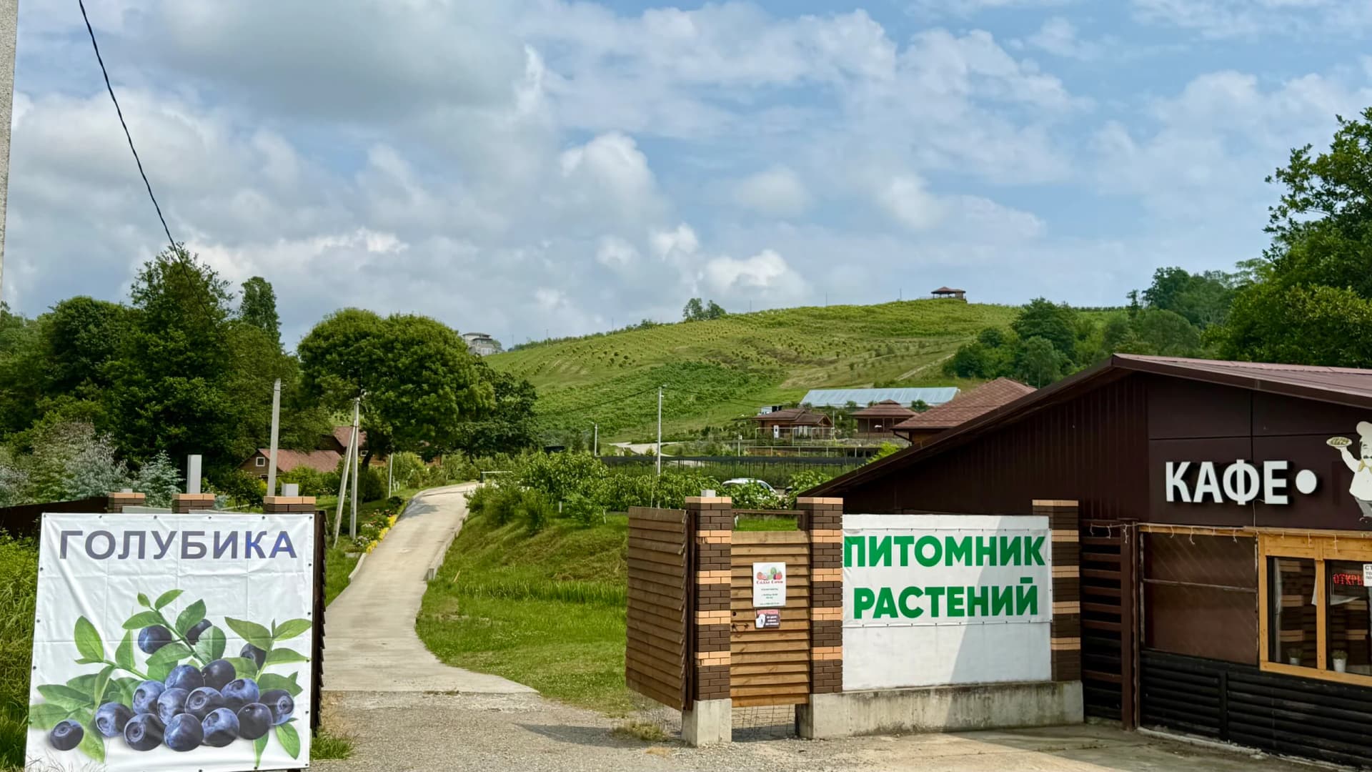 Сочи + Поляна — фото 6